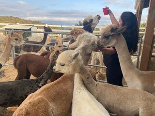 FEEDING TIME!