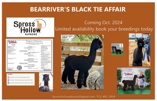 Photo of BEARRIVER'S BLACK TIE AFFAIR